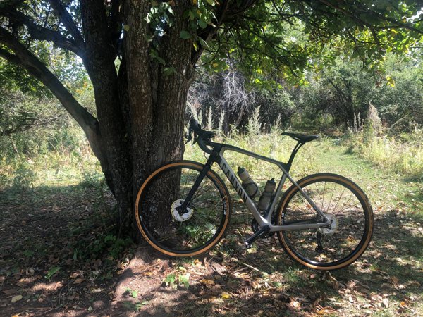 CANYON GRAIL CF SL 8.0.