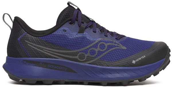 Saucony Кроссовки мужские Saucony Peregrine 15 Gtx Regal/Black