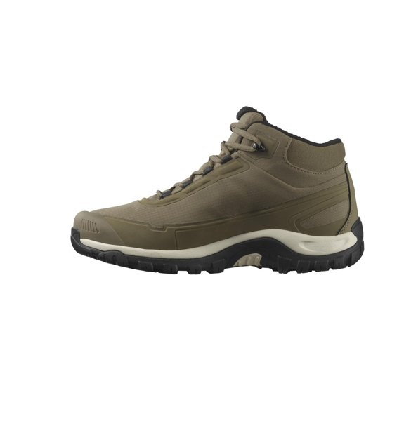 Salomon ботинки мужские Shelter cs wp