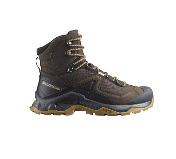 Salomon ботинки мужские Quest Element GTX