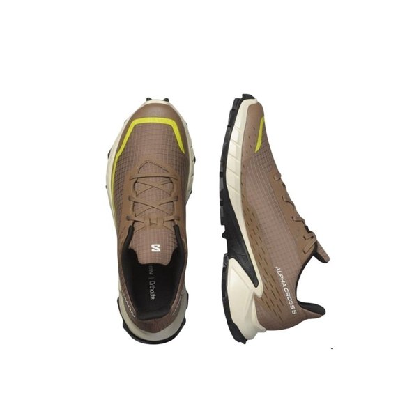 Salomon кроссовки мужские Alphacross 5