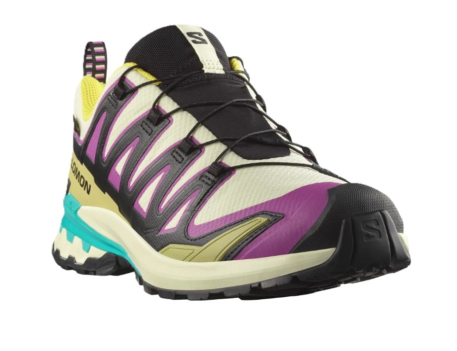 Salomon кроссовки мужские Xa Pro 3D V9 GTX