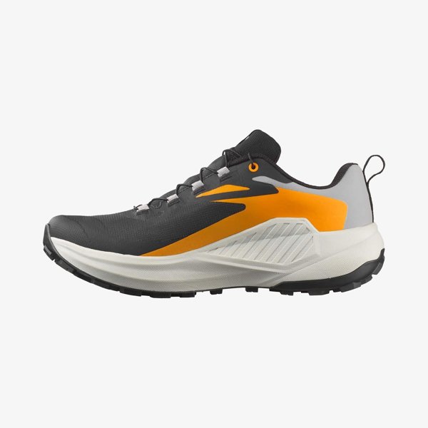 Salomon кроссовки мужские Genesis GTX