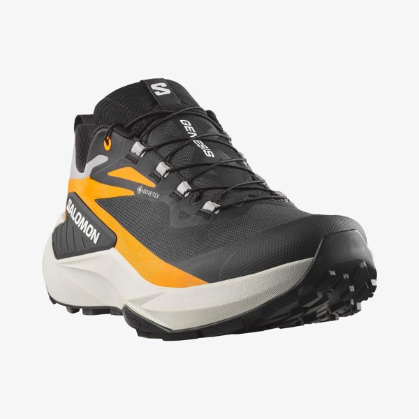 Salomon кроссовки мужские Genesis GTX