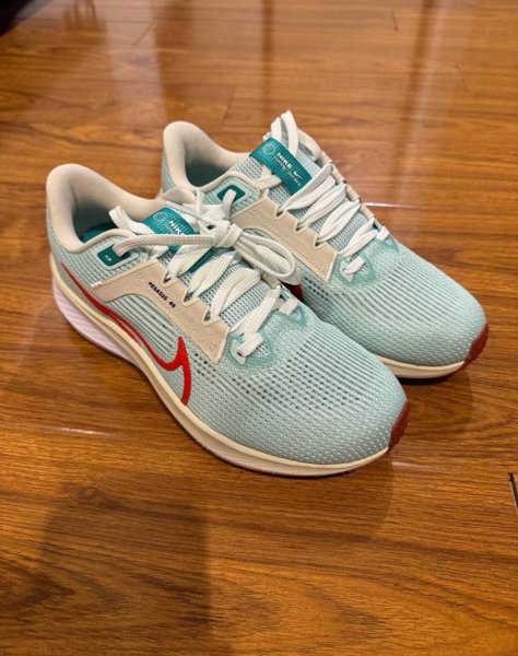 NIKE PEGASUS 40 НОВЫЕ