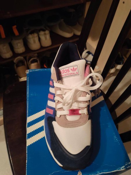 Adidas Torsion Integral