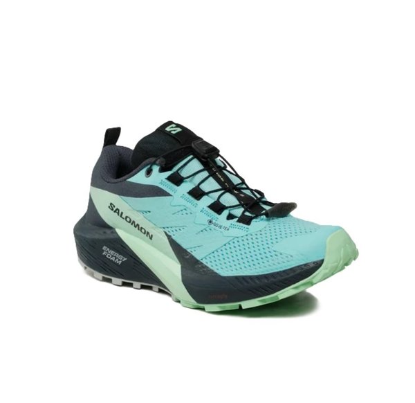 Salomon кроссовки женские SENSE RIDE 5 GTX