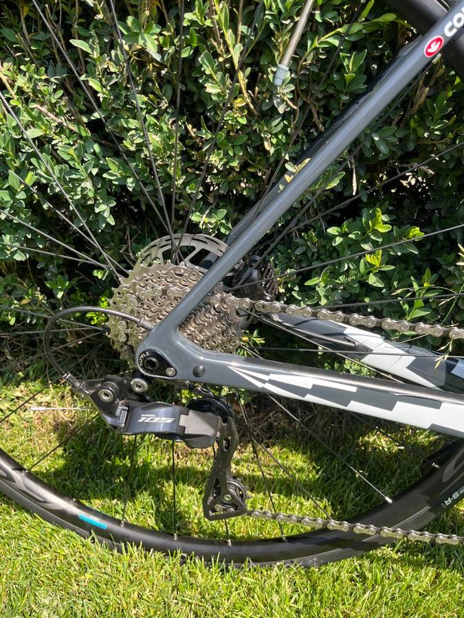 CINELLI PALIO 2021