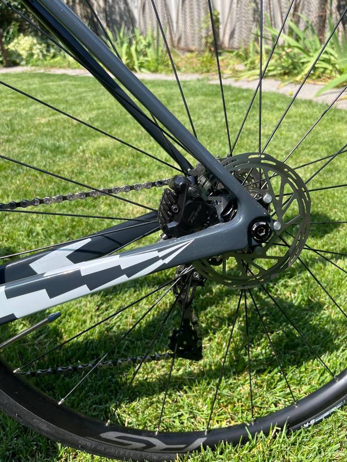 CINELLI PALIO 2021