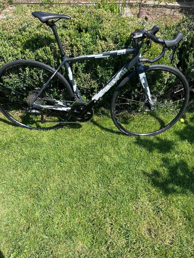 CINELLI PALIO 2021